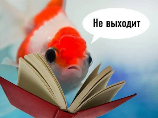 🤩 Стикер «кактусинские принадлежности» для Telegram