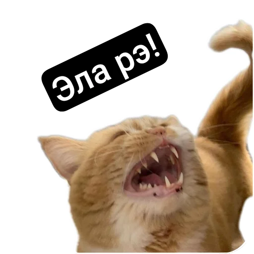 😀 Стикер «Kalimera» для Telegram