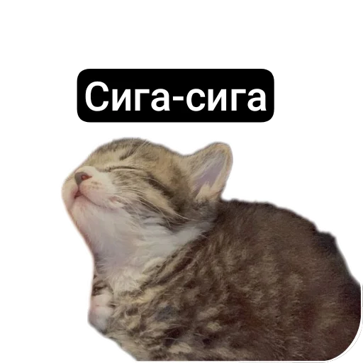 Стикерпак Kalimera для Telegram