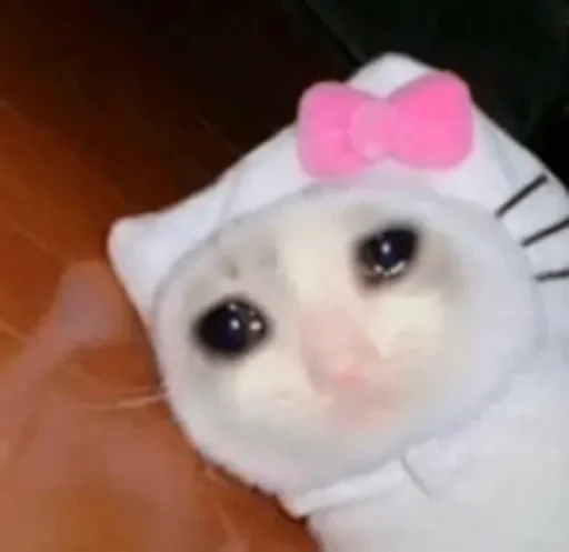 🥺 Стикер «стики» для Telegram