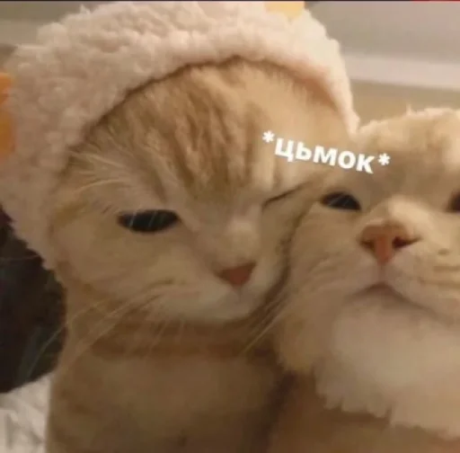 ❤️‍🔥 Стикер «стики» для Telegram