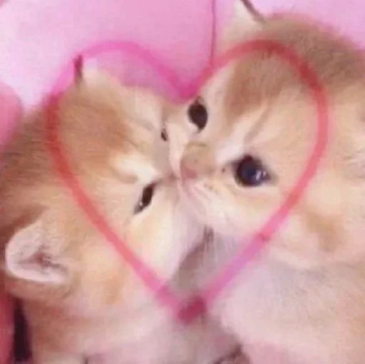 ❤️‍🩹 Стикер «стики» для Telegram