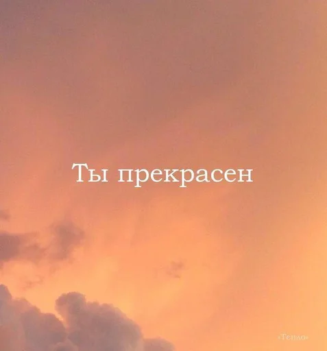✨ Стикер «kami» для Telegram