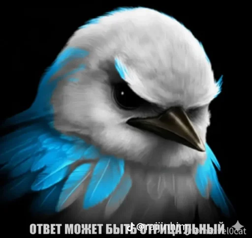 🤩 Стикер «Блотные и крутые птички» для Telegram