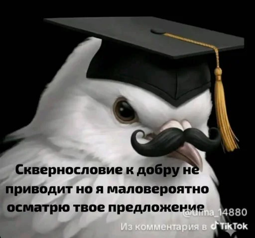 🤩 Стикер «Блотные и крутые птички» для Telegram