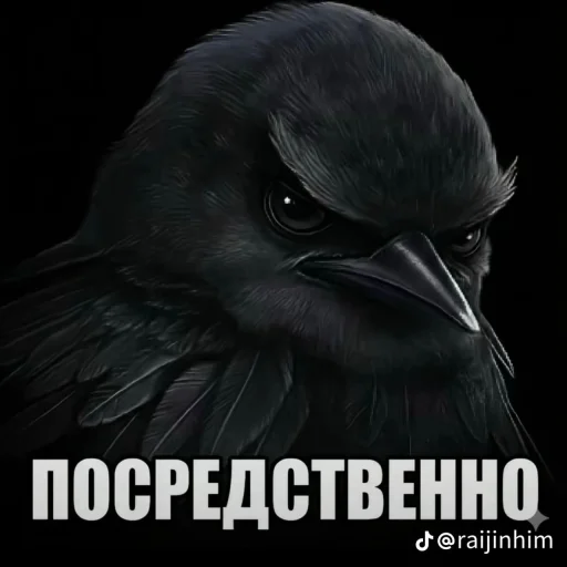 🤩 Стикер «Блотные и крутые птички» для Telegram