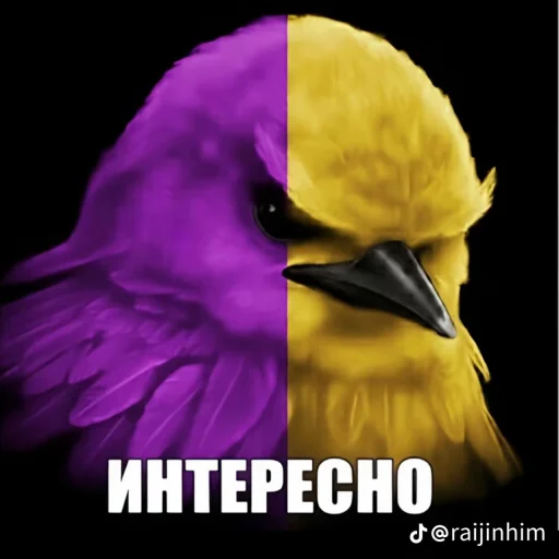 🤩 Стикер «Блотные и крутые птички» для Telegram