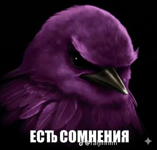 🤩 Стикер «Блотные и крутые птички» для Telegram