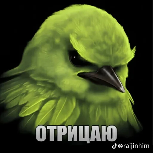 🤩 Стикер «Блотные и крутые птички» для Telegram