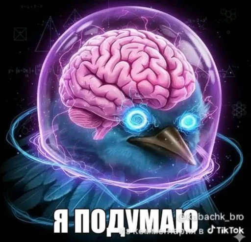 🤩 Стикер «Блотные и крутые птички» для Telegram