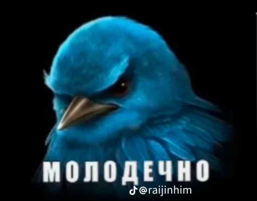 🤩 Стикер «Блотные и крутые птички» для Telegram