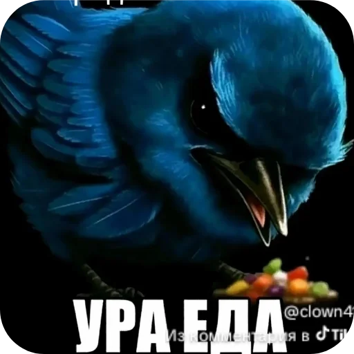 👍 Стикер «Блотные и крутые птички» для Telegram