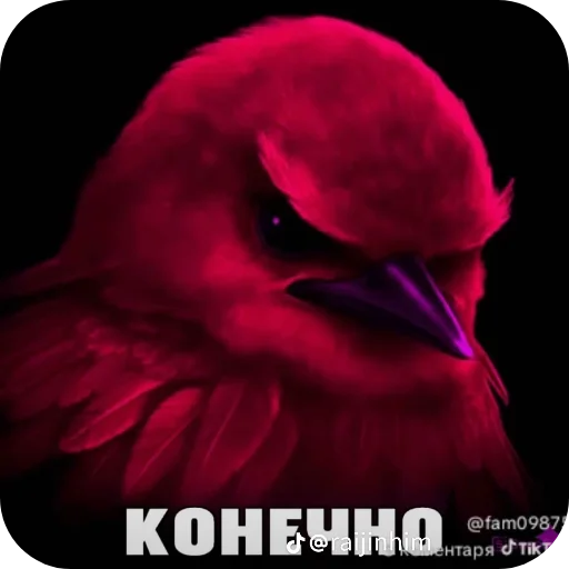 🌸 Стикер «Блотные и крутые птички» для Telegram