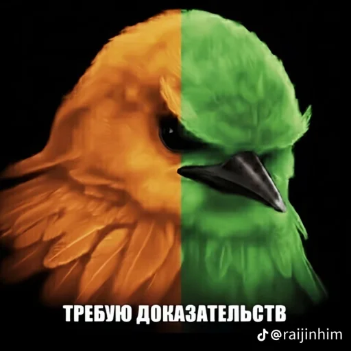 🤩 Стикер «Блотные и крутые птички» для Telegram