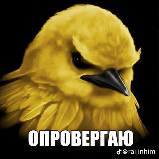 🤩 Стикер «Блотные и крутые птички» для Telegram