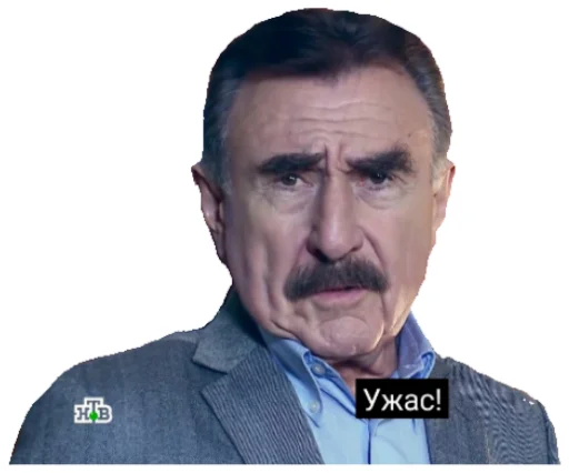 👎 Стикер «Каневский на все случаи жизни» для Telegram