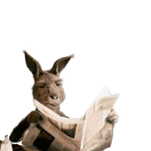 🗞️ Стикер «Kangaroo for» для Telegram