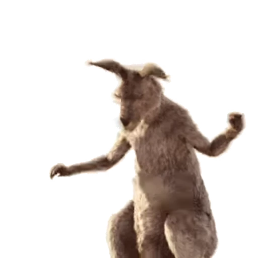 🕺 Стикер «Kangaroo for» для Telegram