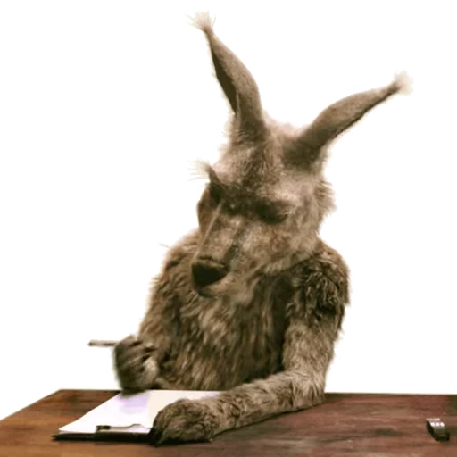 📝 Стикер «Kangaroo for» для Telegram
