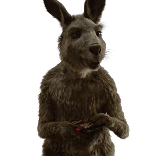 🍫 Стикер «Kangaroo for» для Telegram