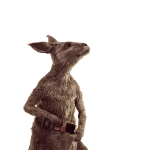😜 Стикер «Kangaroo for» для Telegram