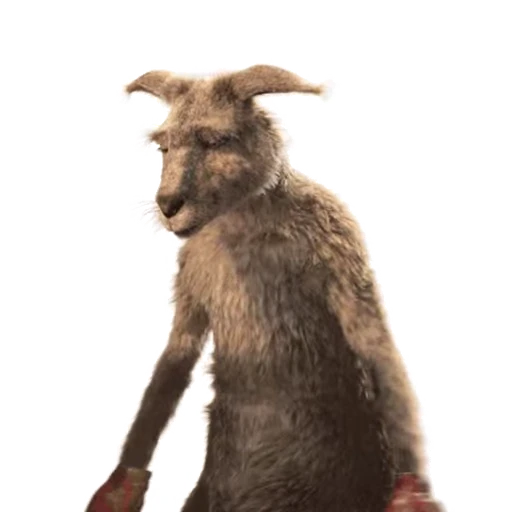 🤷‍♂️ Стикер «Kangaroo for» для Telegram