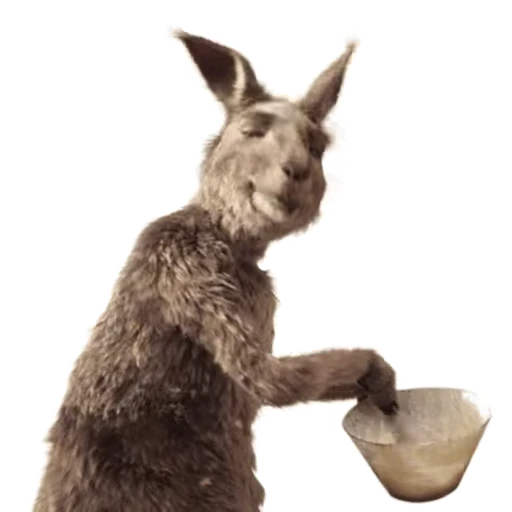 Стикерпак Kangaroo for для Telegram