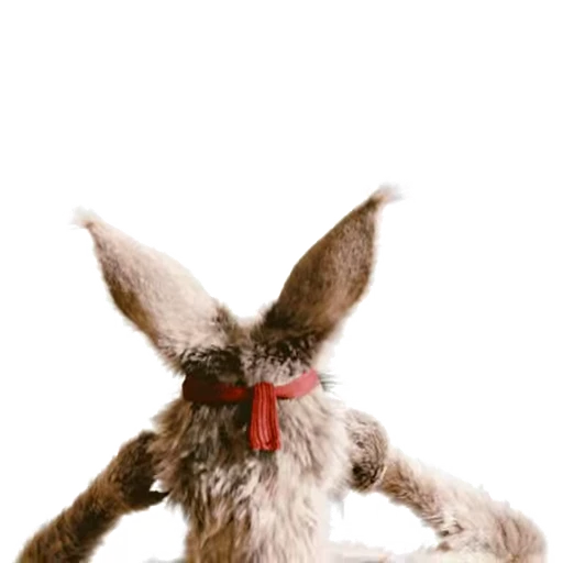 🎽 Стикер «Kangaroo for» для Telegram