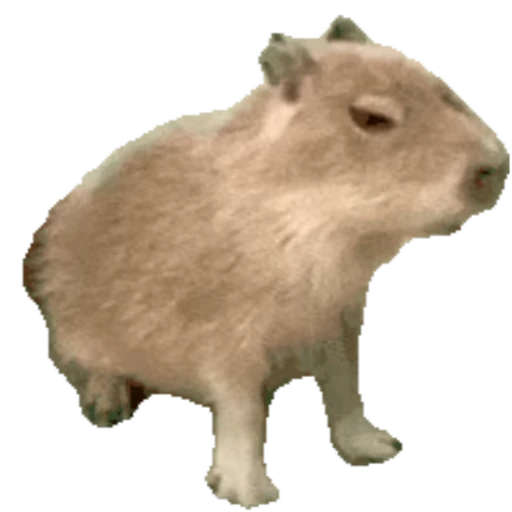 🦫 Стикер «Капибара/Capybara» для Telegram