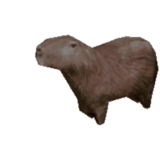 🦫 Стикер «Капибара/Capybara» для Telegram