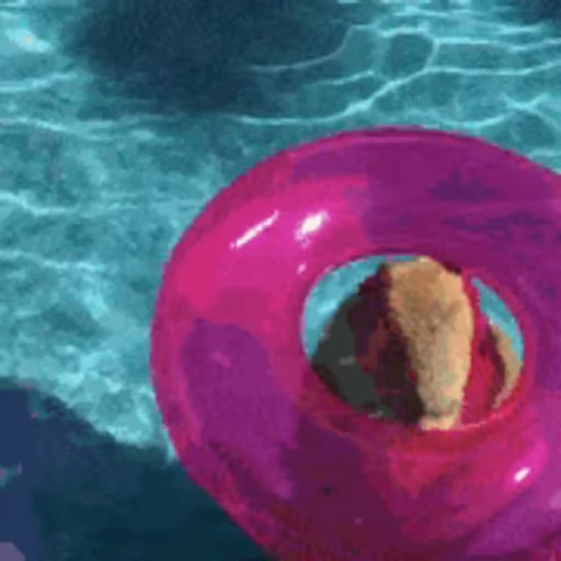 🏊‍♂️ Стикер «Капибара/Capybara» для Telegram