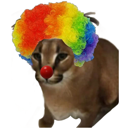 🤡 Стикер «Шлёпанцы» для Telegram