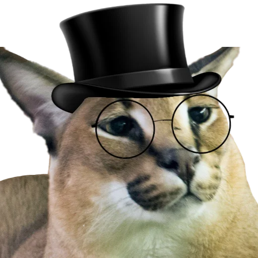 🤵 Стикер «Шлёпанцы» для Telegram
