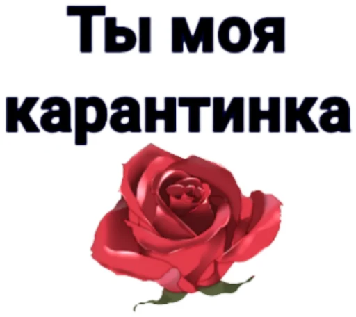 Стикерпак КарантинКа для Telegram