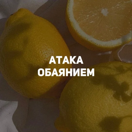 ❤️ Стикер «карман» для Telegram