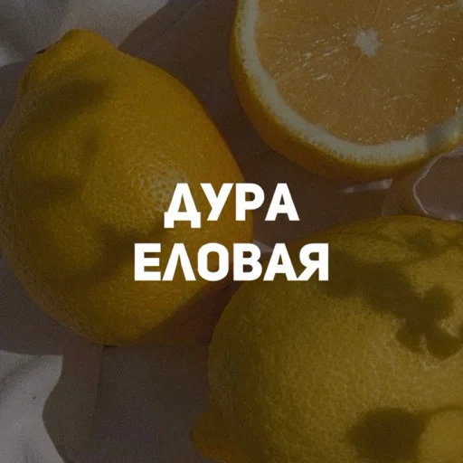 🤡 Стикер «карман» для Telegram