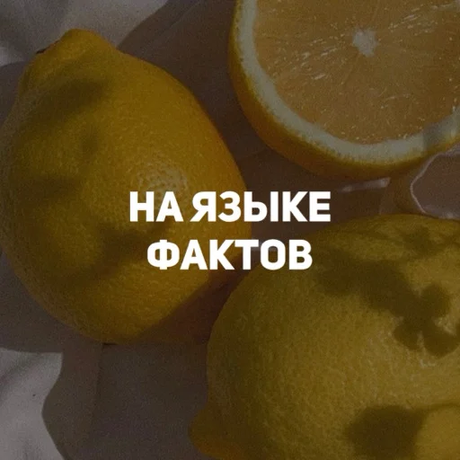 😂 Стикер «карман» для Telegram