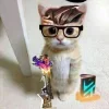 Стикер 42 Чембер