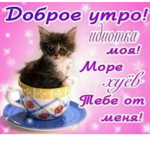 🌞 Стикер «Каросука2» для Telegram