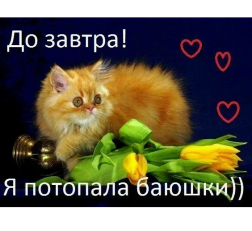 😴 Стикер «Каросука2» для Telegram