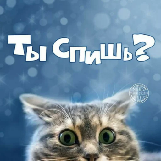 🥱 Стикер «Каросука2» для Telegram