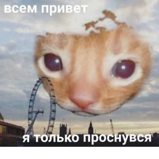 😁 Стикер «Каросука2» для Telegram