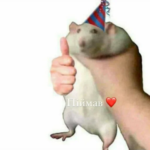 🐹 Стикер «Каросука2» для Telegram
