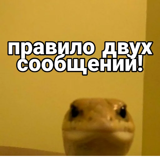 😡 Стикер «Каросука2» для Telegram