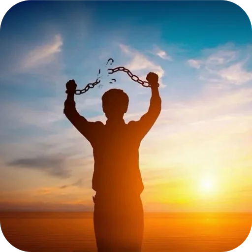 🥳 Стикер «Картинки из ТТ» для Telegram