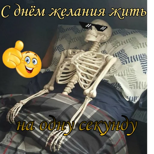 🙃 Стикер «С днём картинки» для Telegram