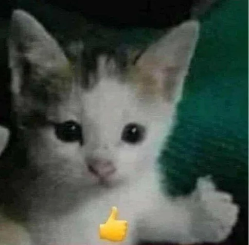 👍 Стикер «💕💕💕» для Telegram