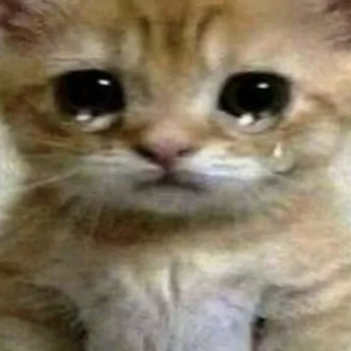 😢 Стикер «💕💕💕» для Telegram
