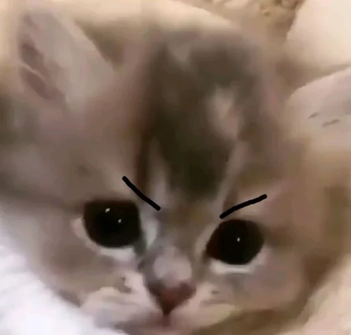 😠 Стикер «💕💕💕» для Telegram
