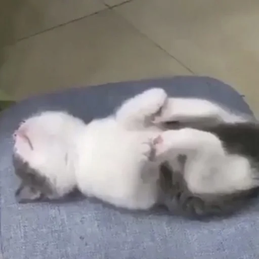 😴 Стикер «💕💕💕» для Telegram